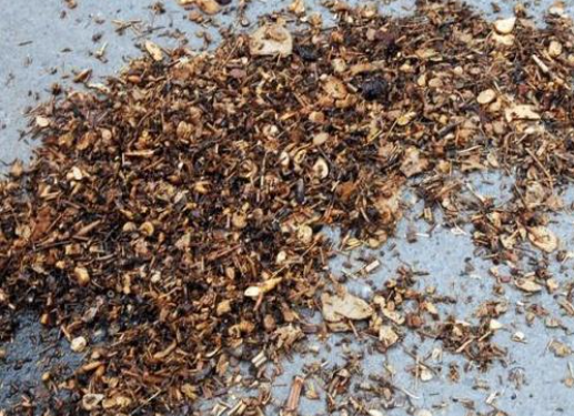 色翁荡息又大又硬又粗又爽