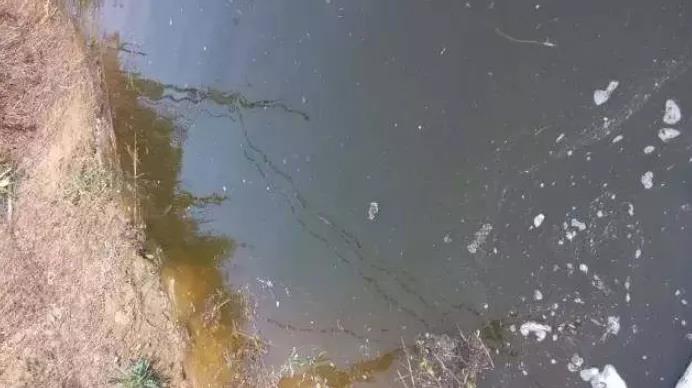 色翁荡息又大又硬又粗又爽