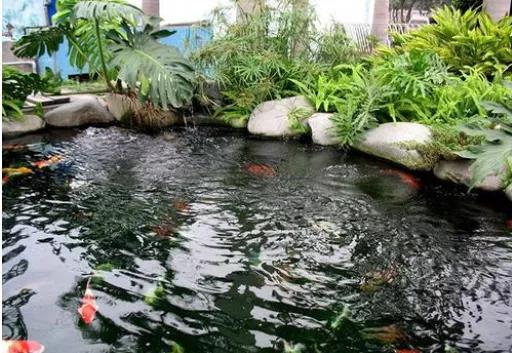 色翁荡息又大又硬又粗又爽