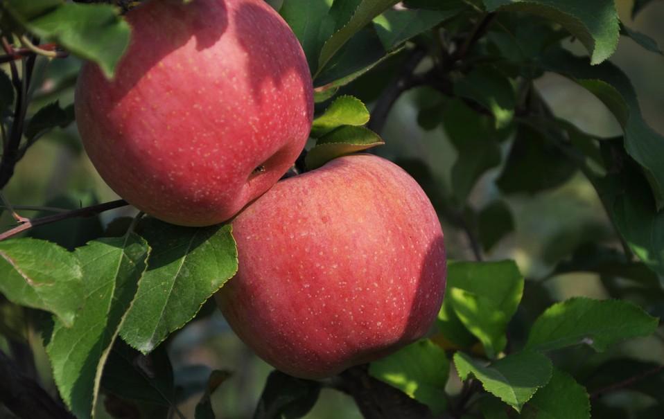 色翁荡息又大又硬又粗又爽