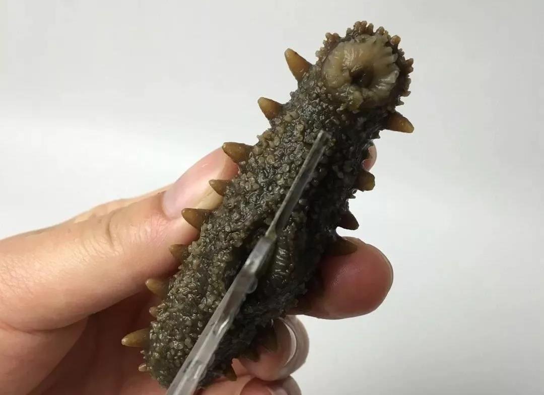 色翁荡息又大又硬又粗又爽