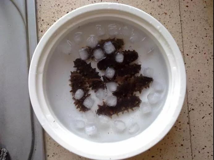 色翁荡息又大又硬又粗又爽