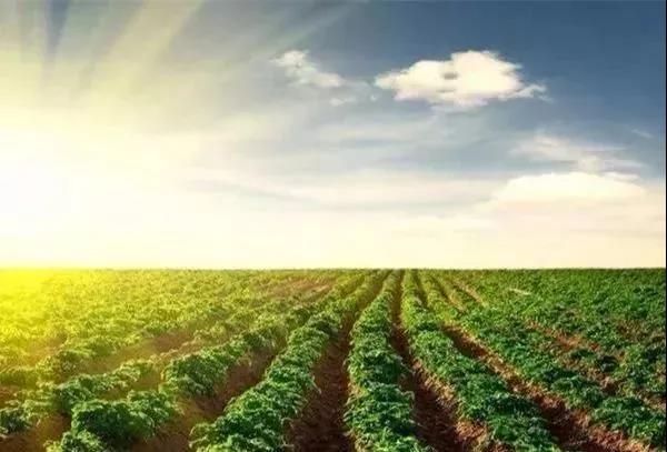 色翁荡息又大又硬又粗又爽