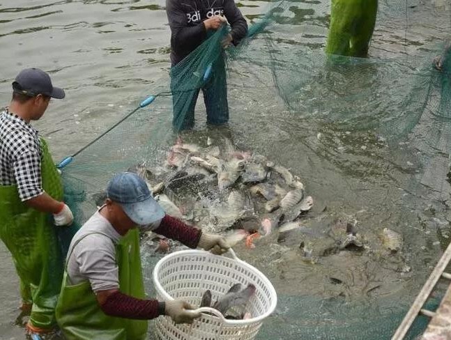 色翁荡息又大又硬又粗又爽