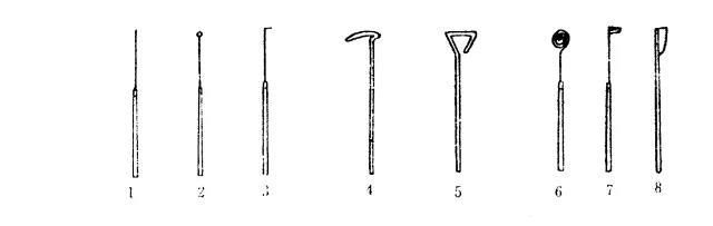 色翁荡息又大又硬又粗又爽