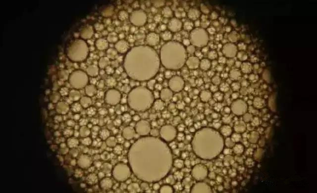 色翁荡息又大又硬又粗又爽