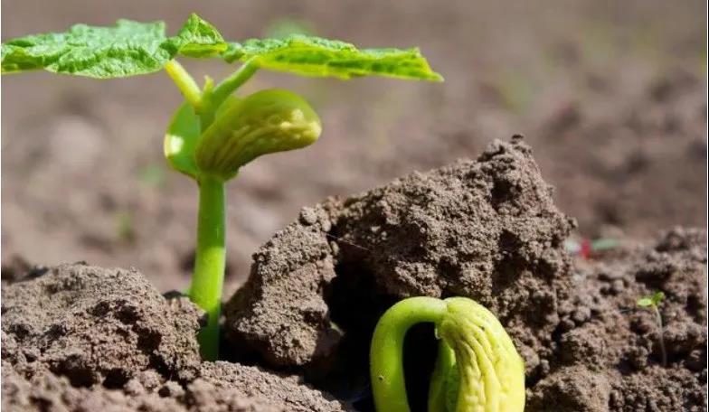 色翁荡息又大又硬又粗又爽