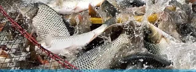 色翁荡息又大又硬又粗又爽