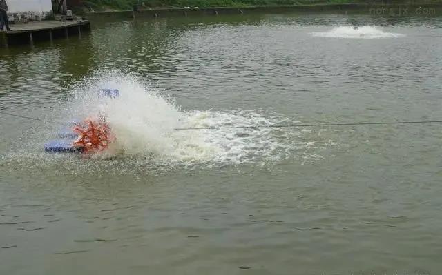 色翁荡息又大又硬又粗又爽