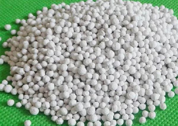 色翁荡息又大又硬又粗又爽