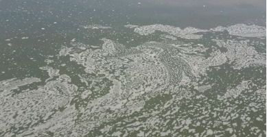 色翁荡息又大又硬又粗又爽