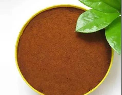 色翁荡息又大又硬又粗又爽