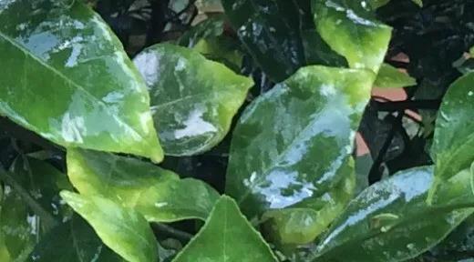 色翁荡息又大又硬又粗又爽