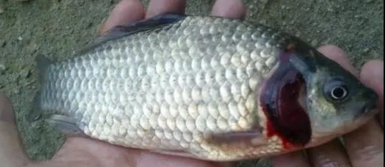 色翁荡息又大又硬又粗又爽