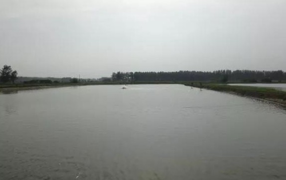 色翁荡息又大又硬又粗又爽