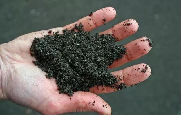 色翁荡息又大又硬又粗又爽