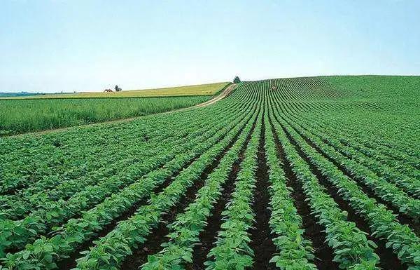 色翁荡息又大又硬又粗又爽