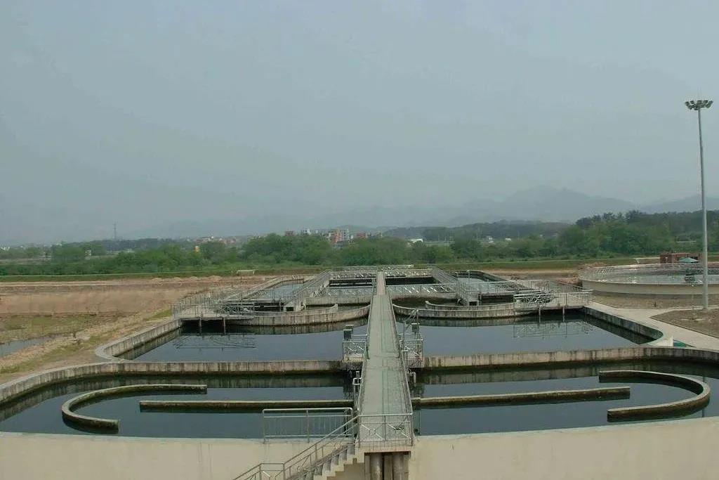 色翁荡息又大又硬又粗又爽