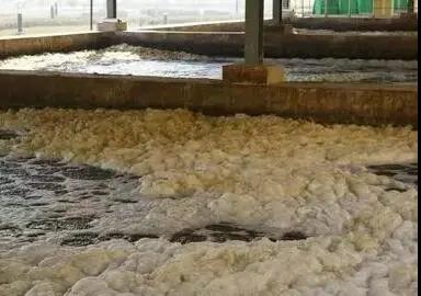 色翁荡息又大又硬又粗又爽