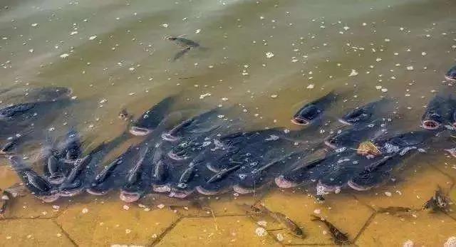 色翁荡息又大又硬又粗又爽