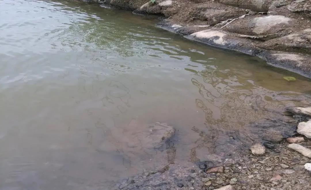 色翁荡息又大又硬又粗又爽