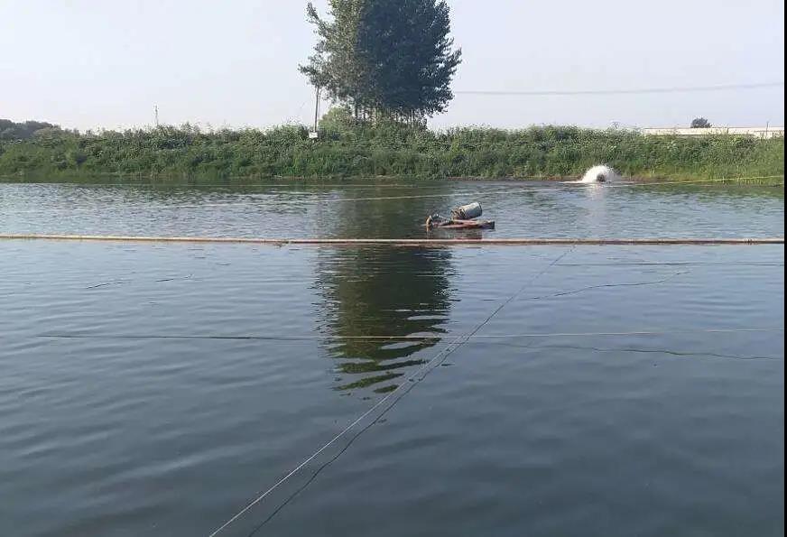 色翁荡息又大又硬又粗又爽