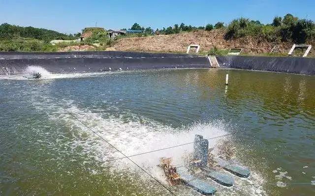 色翁荡息又大又硬又粗又爽