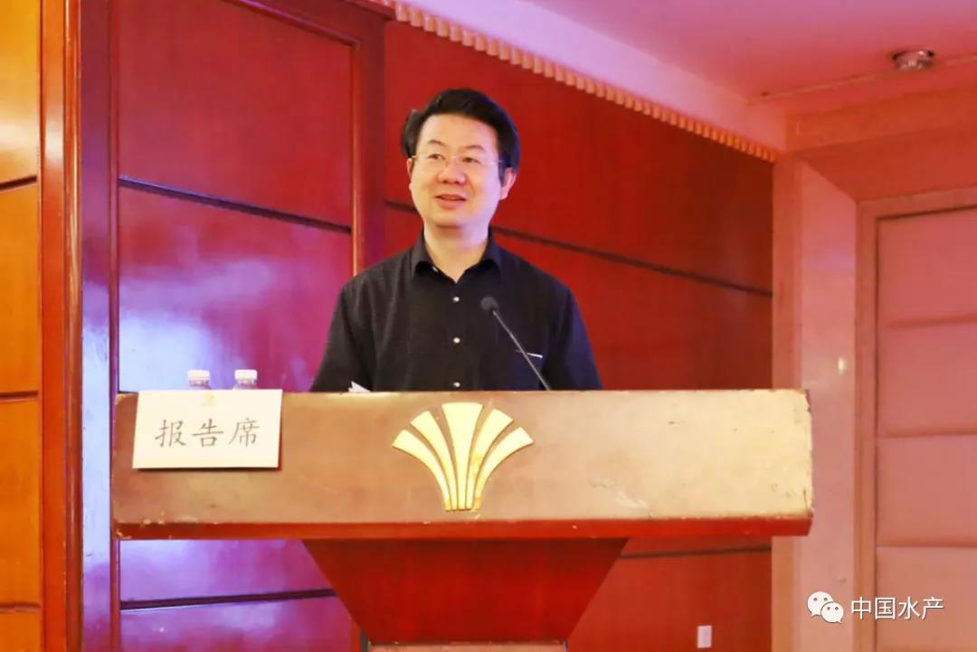 色翁荡息又大又硬又粗又爽