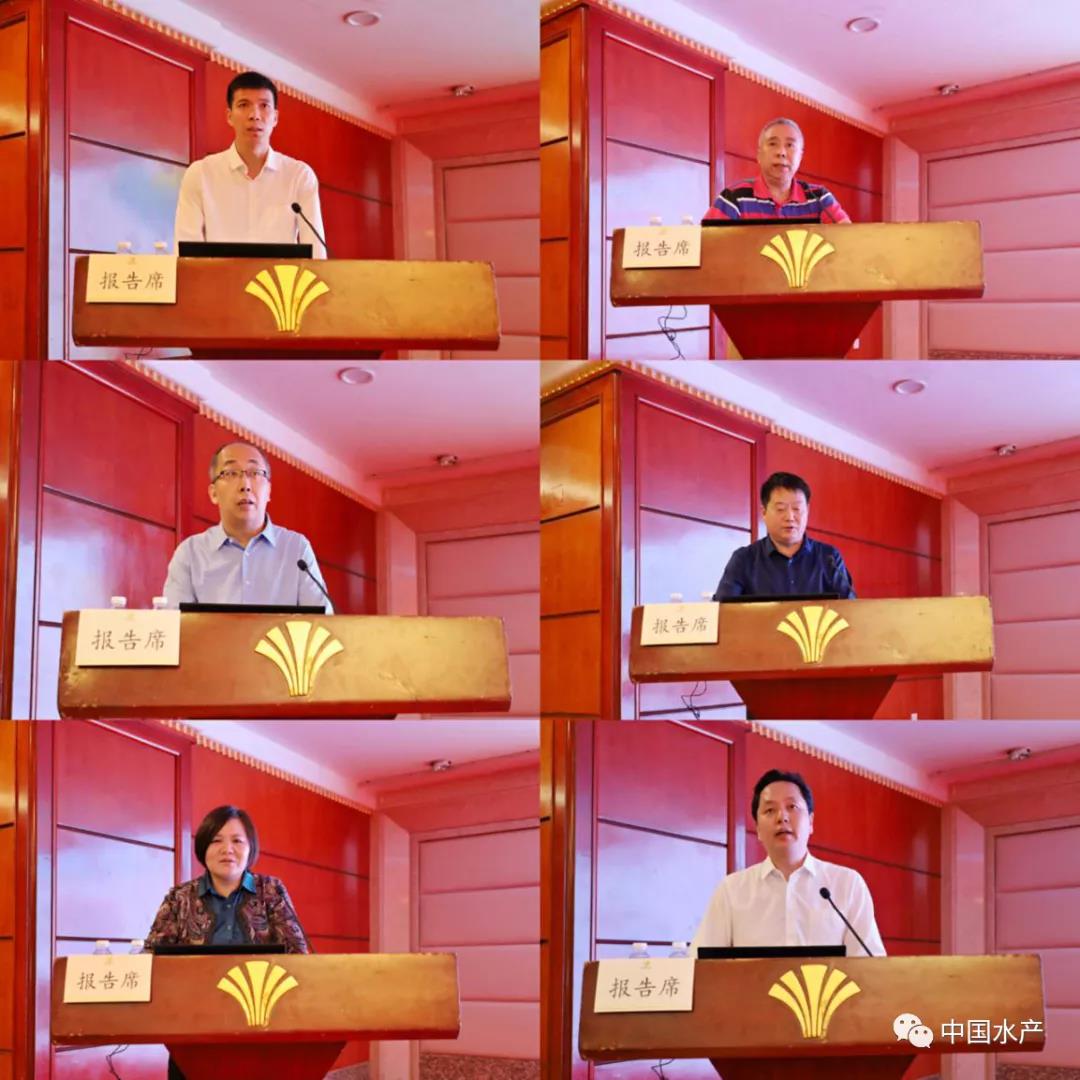 色翁荡息又大又硬又粗又爽