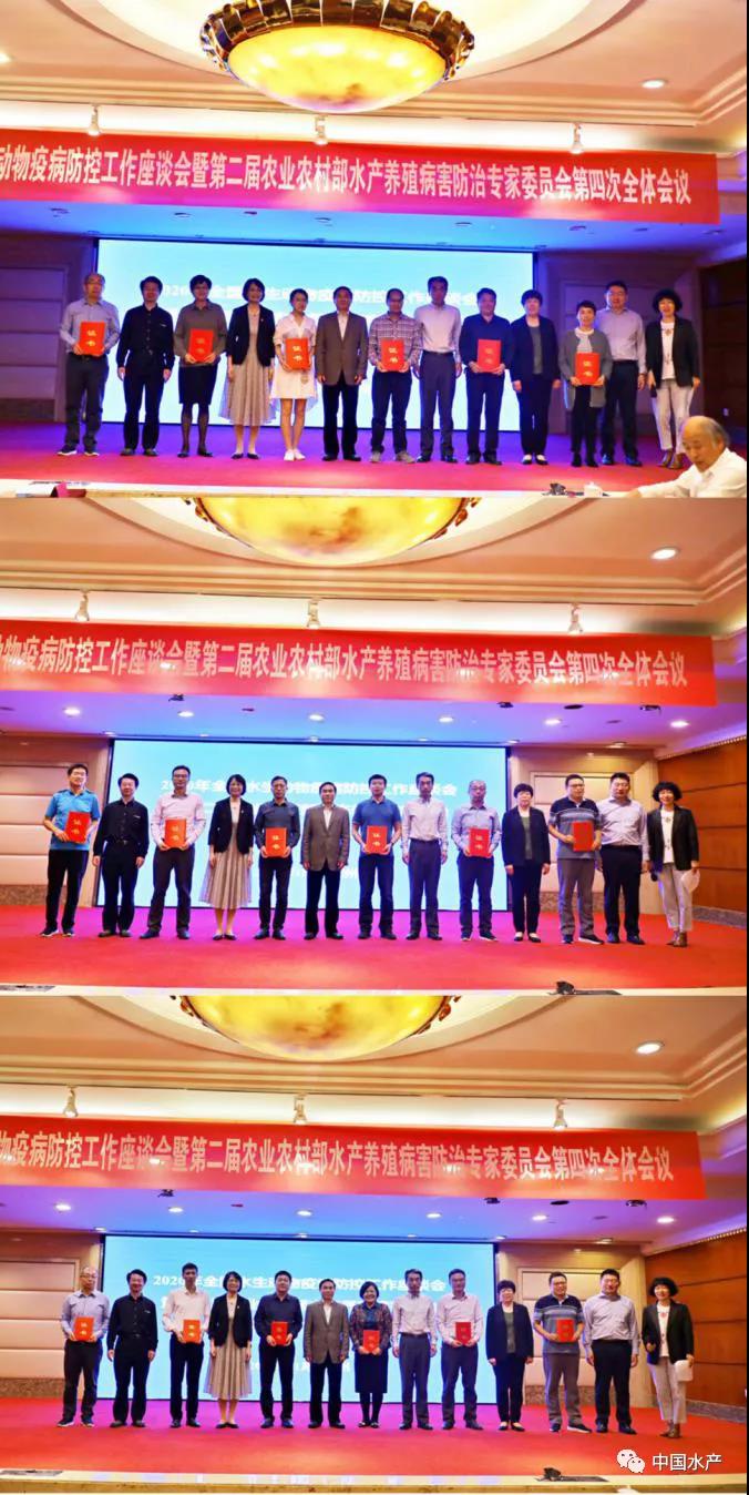 色翁荡息又大又硬又粗又爽