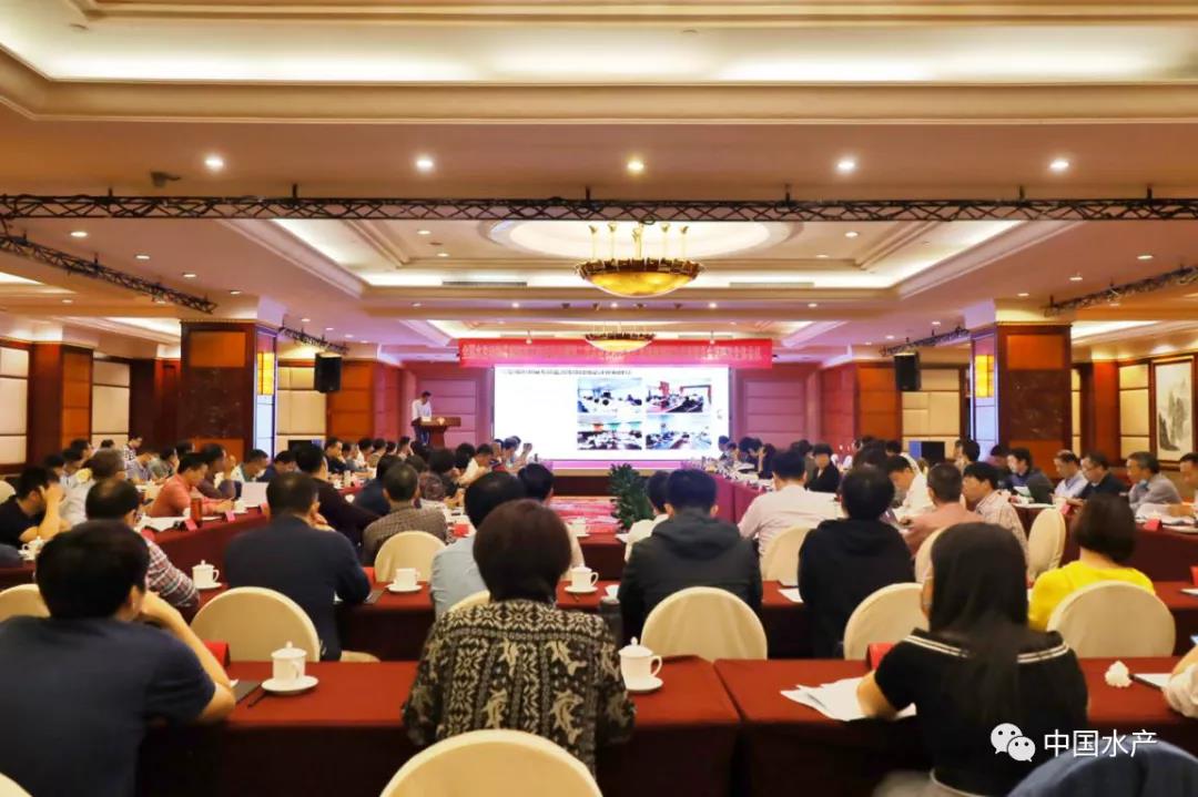 色翁荡息又大又硬又粗又爽