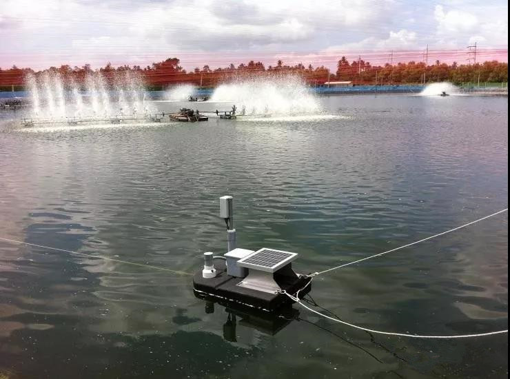 色翁荡息又大又硬又粗又爽