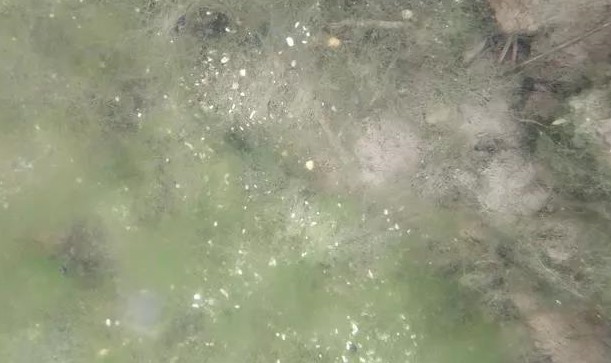 色翁荡息又大又硬又粗又爽