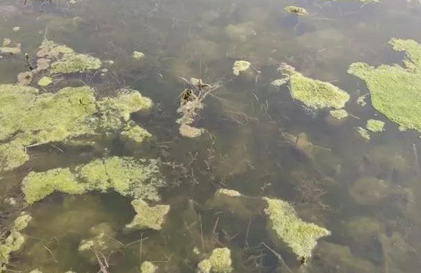 色翁荡息又大又硬又粗又爽