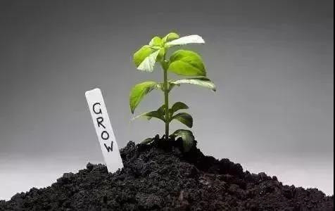 色翁荡息又大又硬又粗又爽