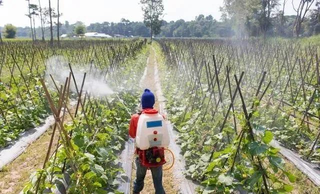 色翁荡息又大又硬又粗又爽