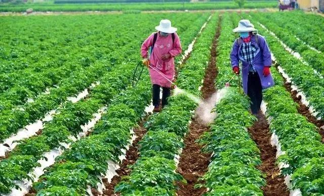 色翁荡息又大又硬又粗又爽