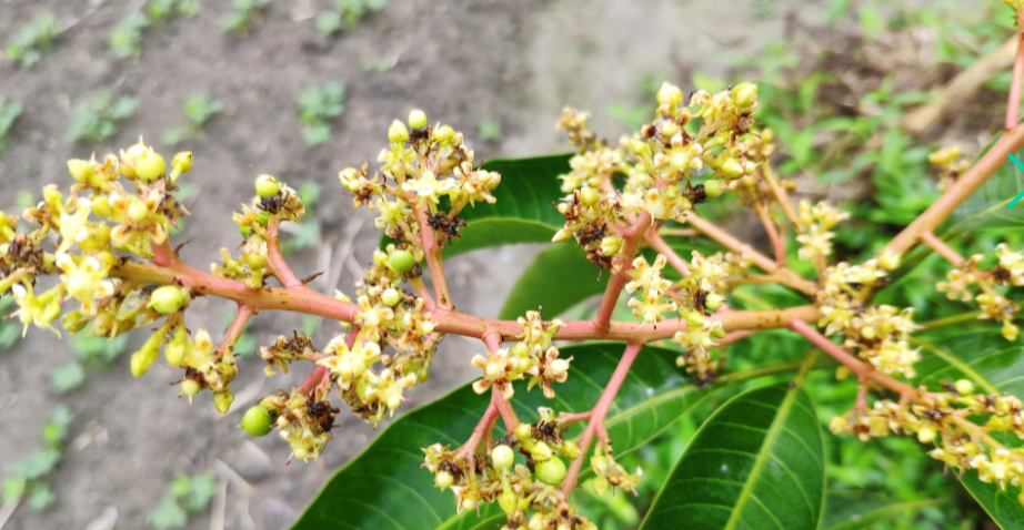 色翁荡息又大又硬又粗又爽