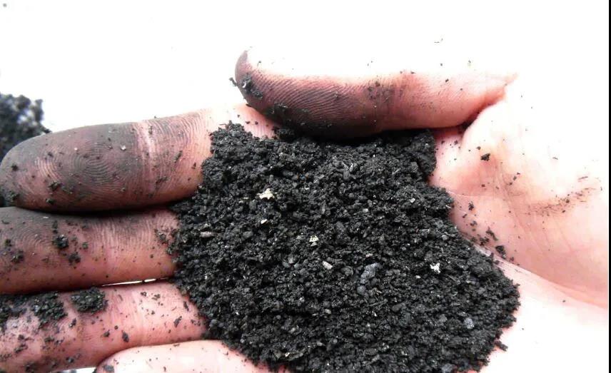 色翁荡息又大又硬又粗又爽