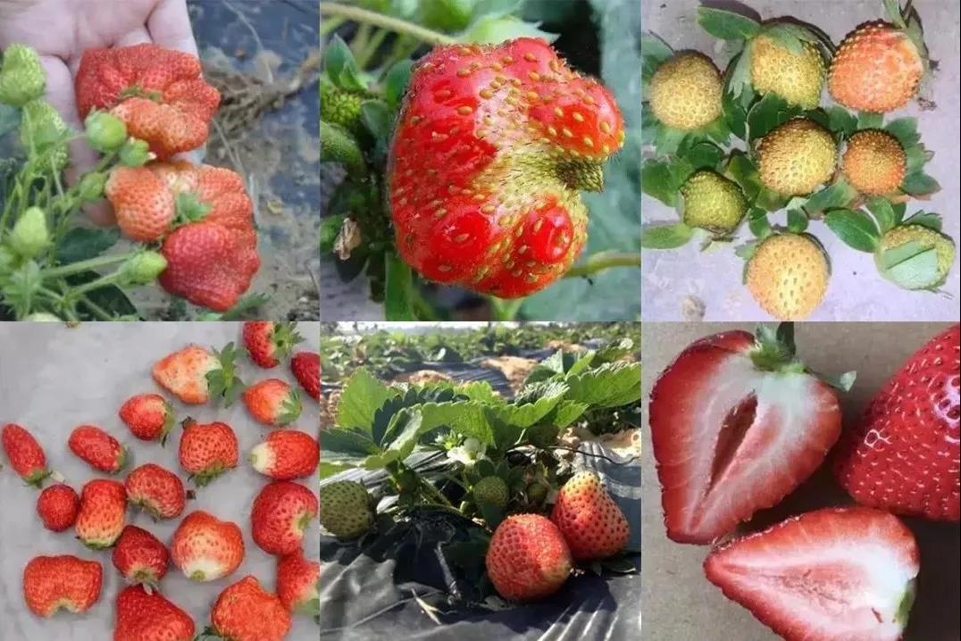 色翁荡息又大又硬又粗又爽