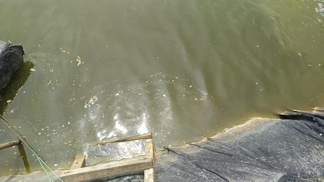 色翁荡息又大又硬又粗又爽