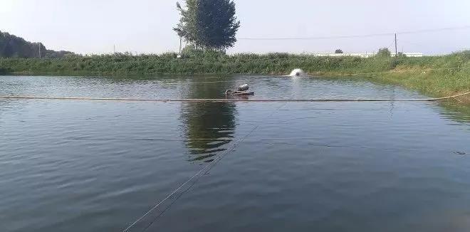 色翁荡息又大又硬又粗又爽