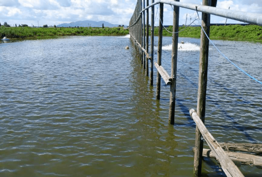 色翁荡息又大又硬又粗又爽