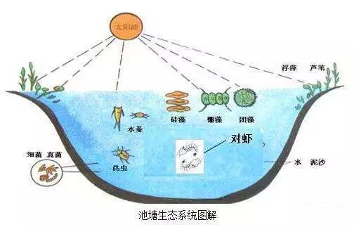 色翁荡息又大又硬又粗又爽