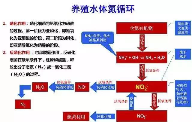 色翁荡息又大又硬又粗又爽