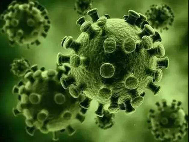 色翁荡息又大又硬又粗又爽