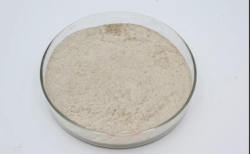 色翁荡息又大又硬又粗又爽