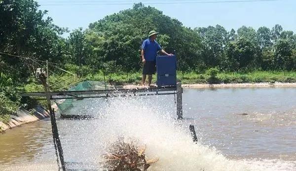 色翁荡息又大又硬又粗又爽