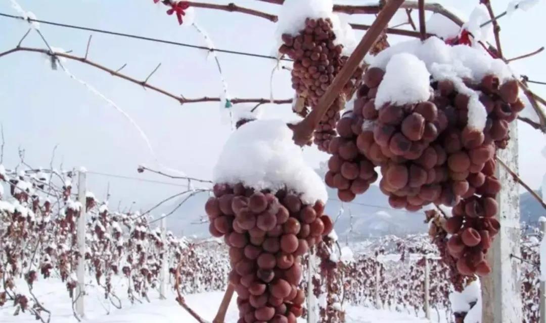 色翁荡息又大又硬又粗又爽