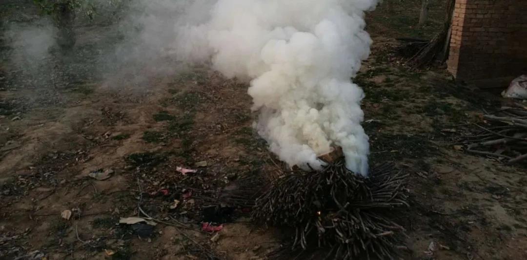 色翁荡息又大又硬又粗又爽